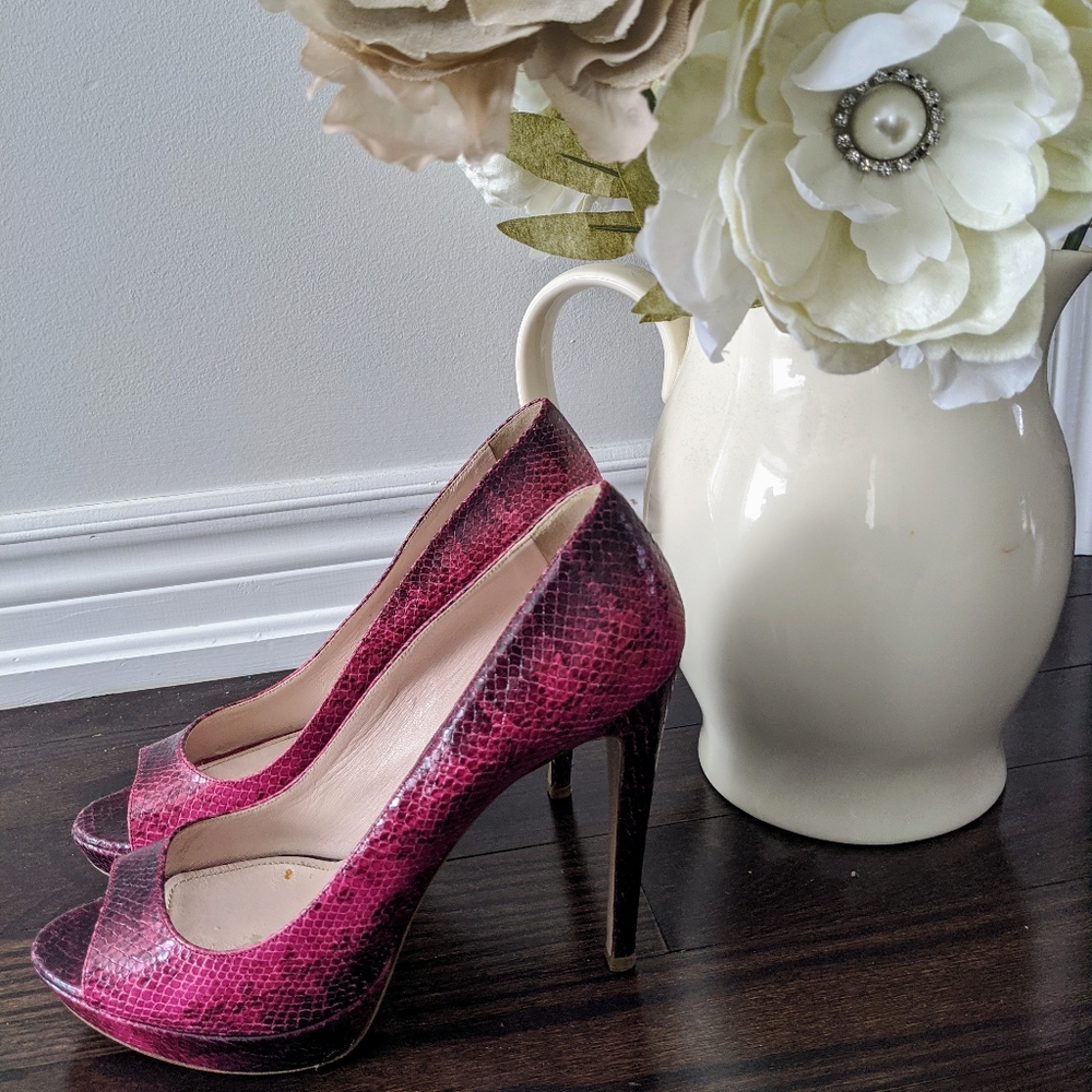👠 Miu Miu Pumps 🦩